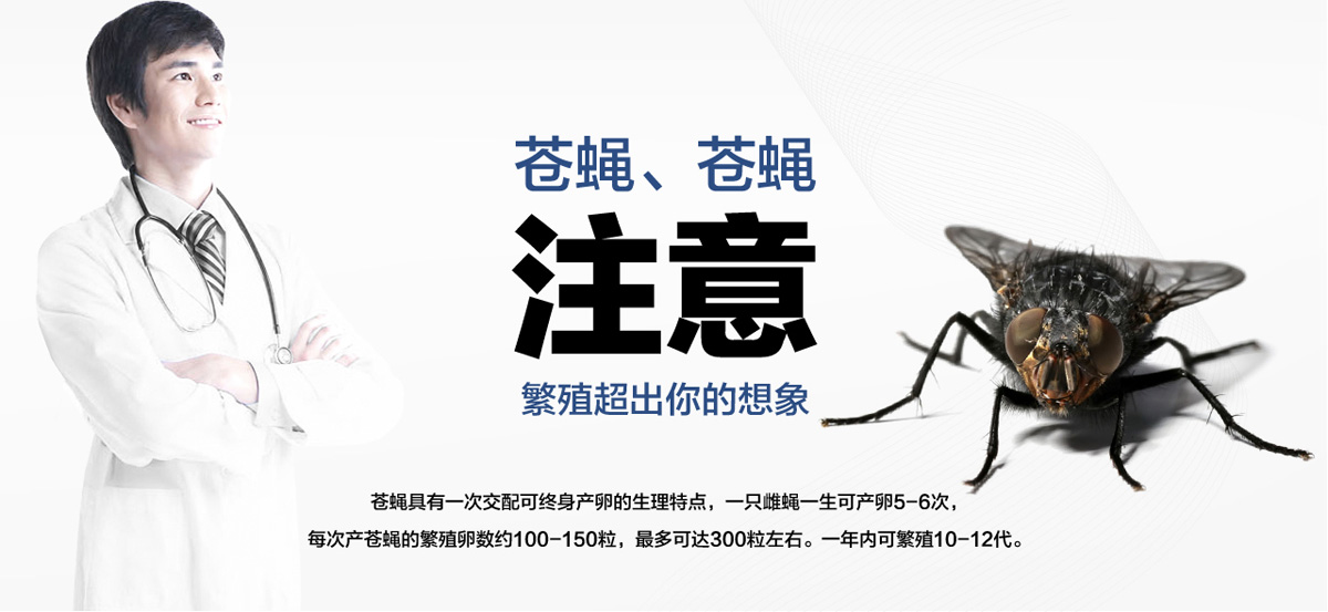 老鼠聰明超出你想象。