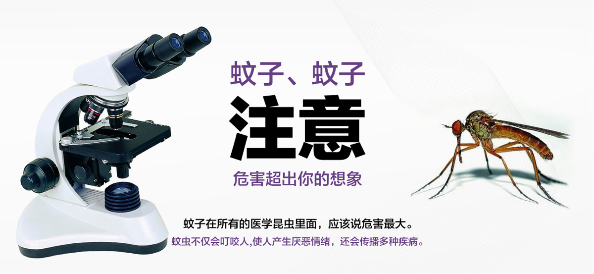 蚊子危害超出你的想象。